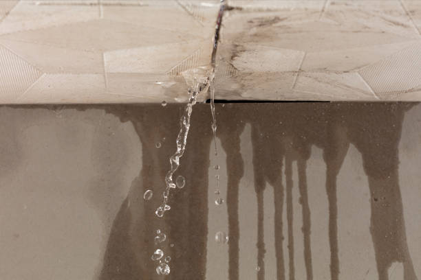 Professional Flood Damage Cleanup technician working in Trenton, IL